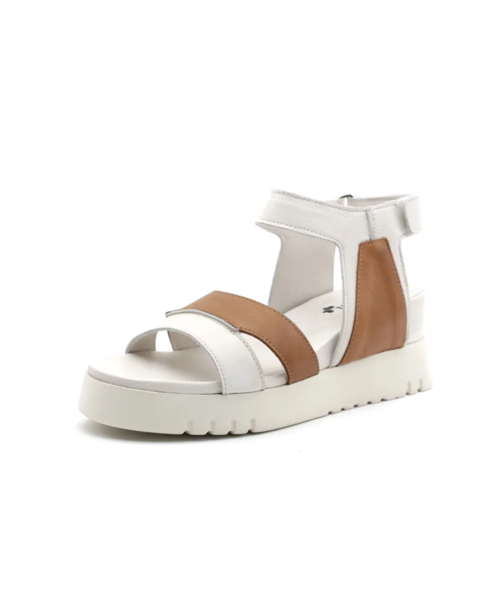 Felmini D837 Calf