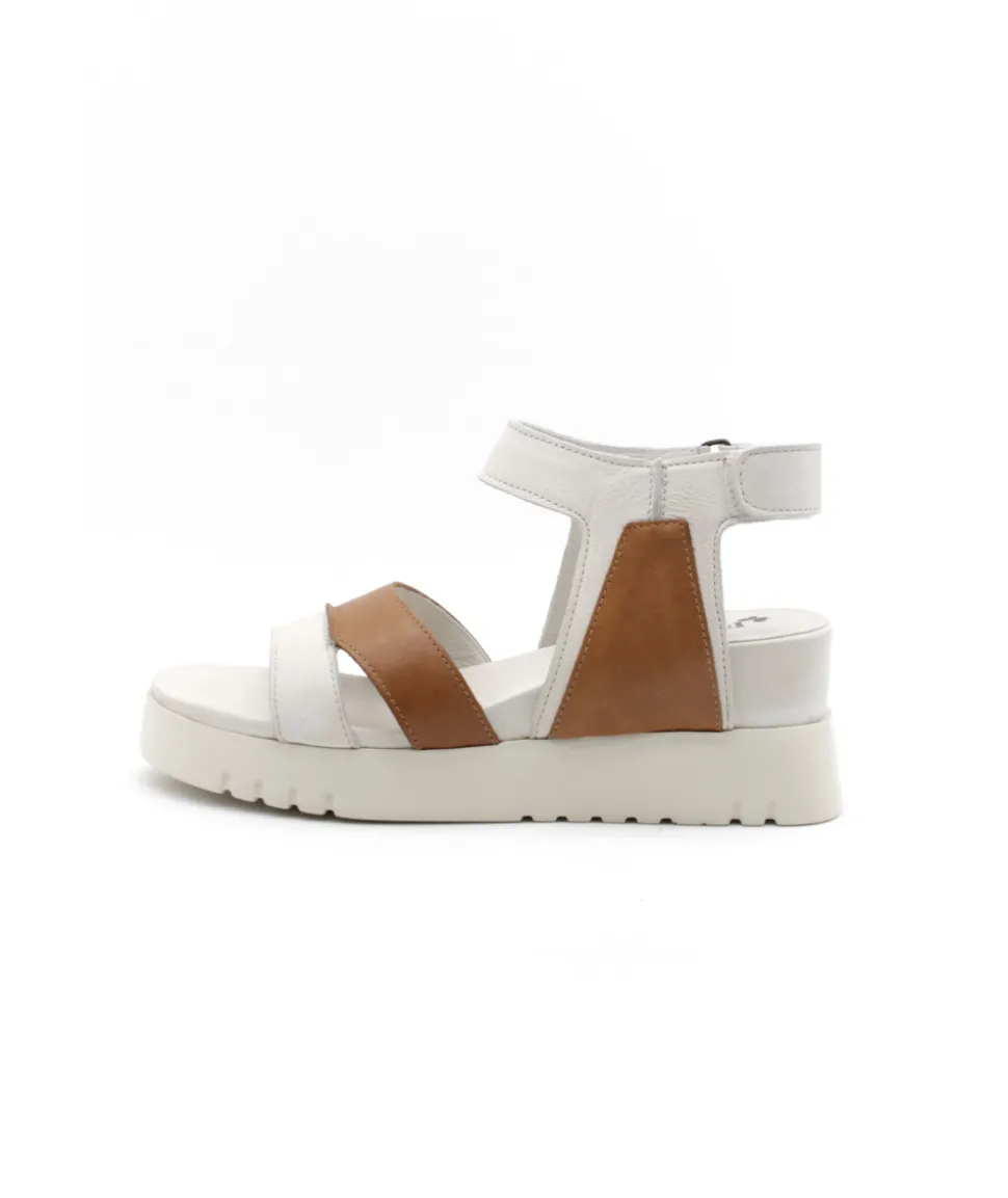 Felmini D837 Calf