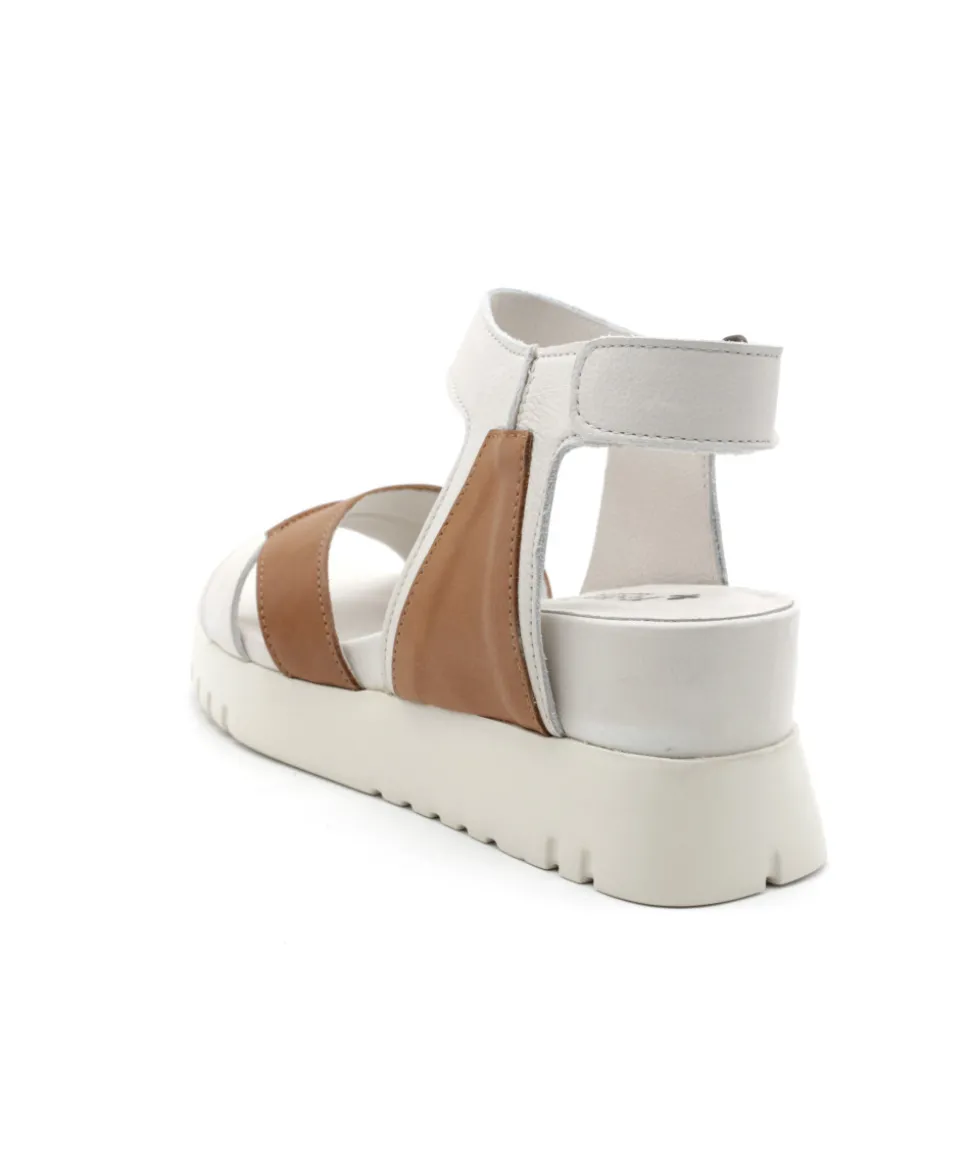 Felmini D837 Calf
