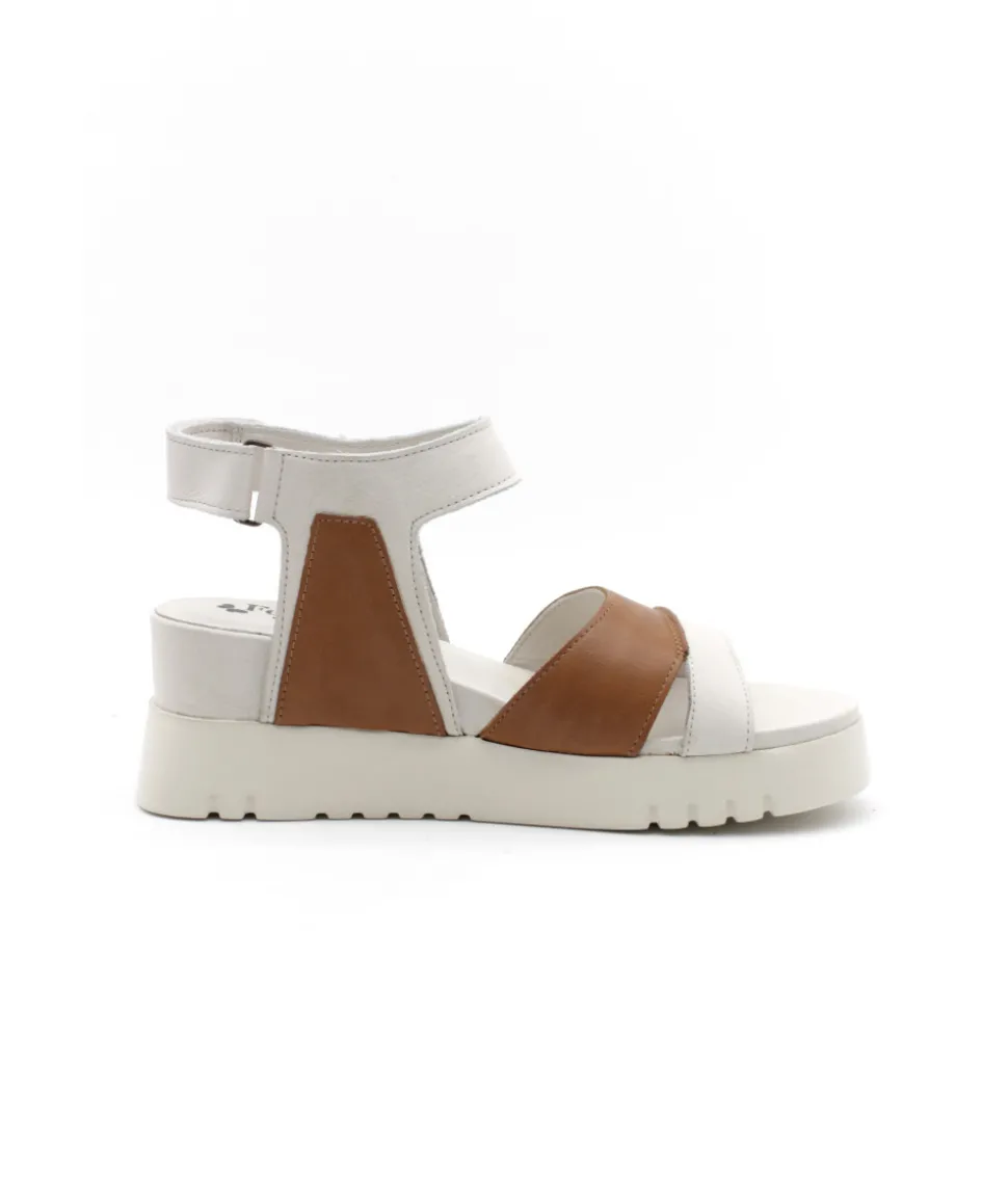 Felmini D837 Calf