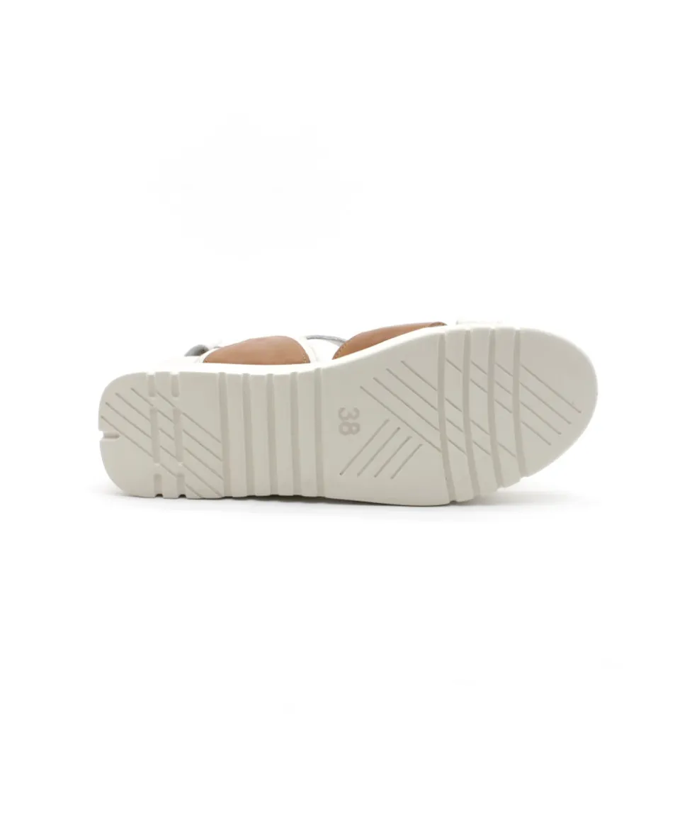 Felmini D837 Calf