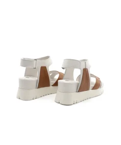 Felmini D837 Calf