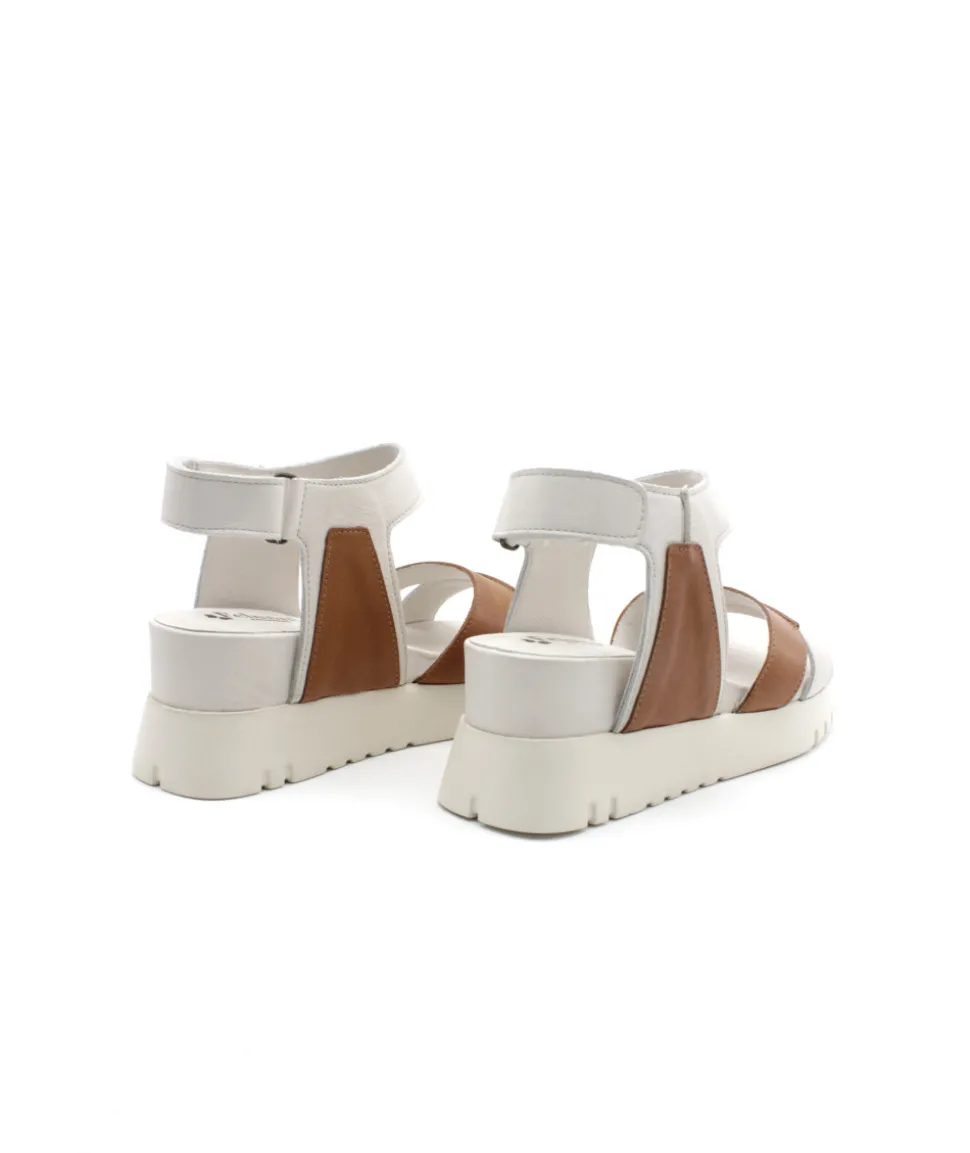 Felmini D837 Calf