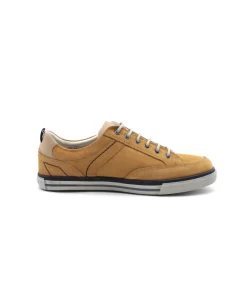 Fluchos 9376 Quebec