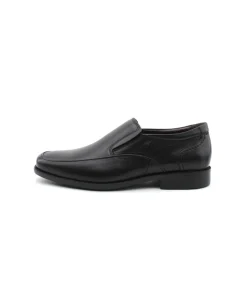 Fluchos 7996 Rafael