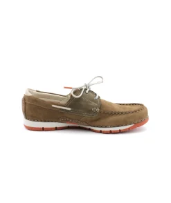 Fluchos F1449 Andrey