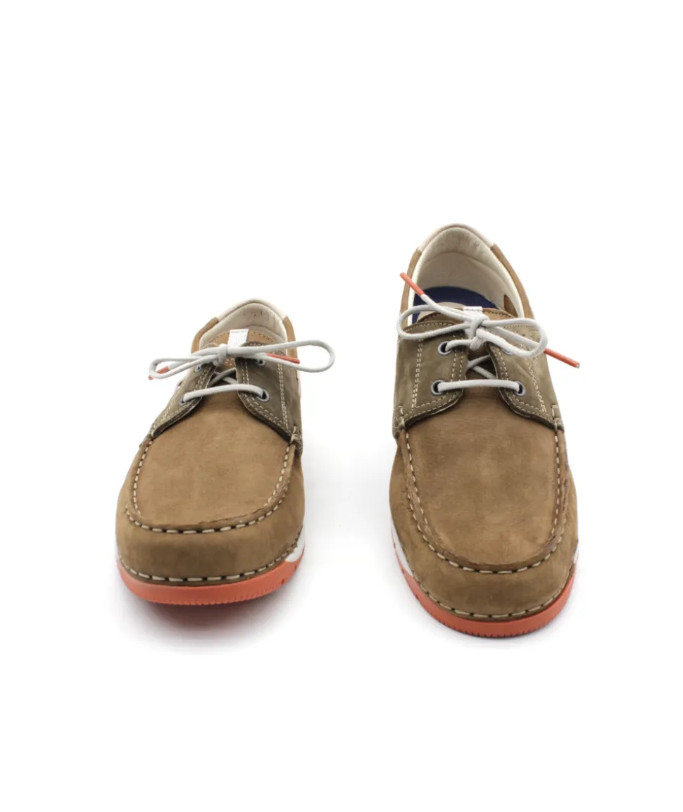 Fluchos F1449 Andrey