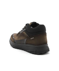 Fluchos F1840 Arion