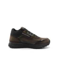 Fluchos F1840 Arion