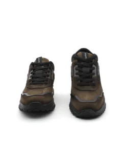 Fluchos F1840 Arion