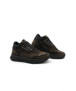 Fluchos F1840 Arion