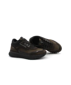 Fluchos F1840 Arion