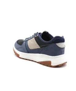 Fluchos F2012 Arion