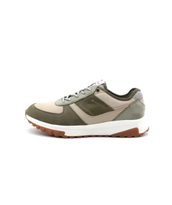 Fluchos F2012 Arion