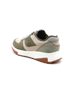 Fluchos F2012 Arion