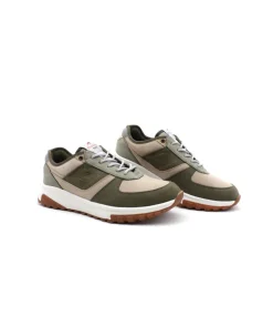 Fluchos F2012 Arion