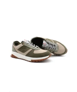 Fluchos F2012 Arion
