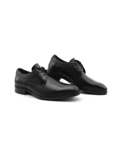 Fluchos F1884 Asgard