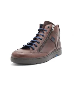 Fluchos F0299 Atlas