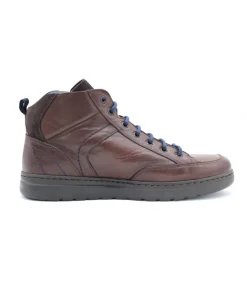 Fluchos F0299 Atlas