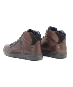 Fluchos F0299 Atlas