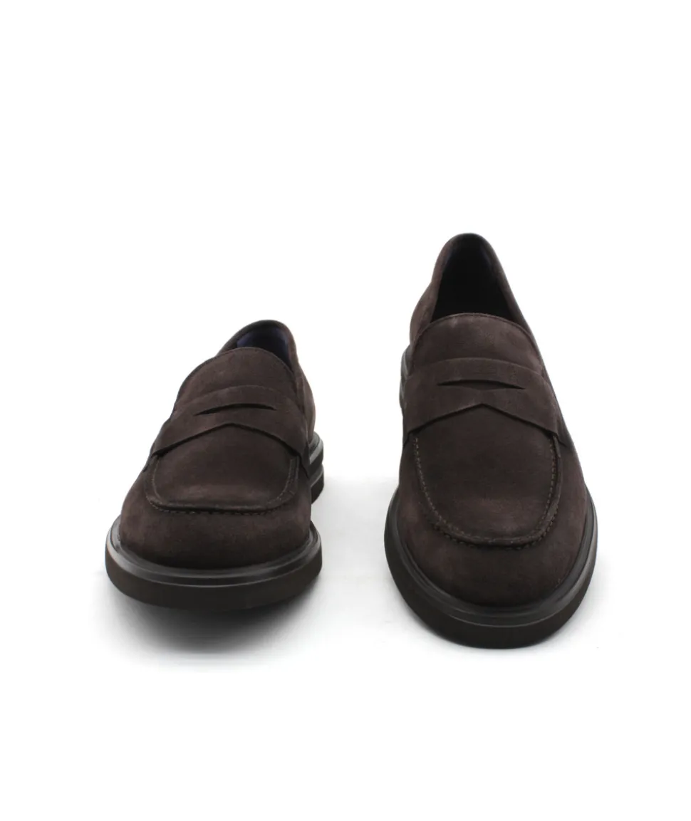 Fluchos F0633 Belgas