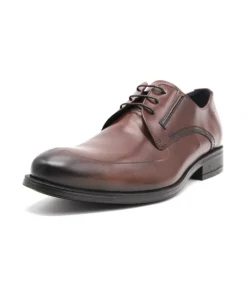 Fluchos F0677 Beta