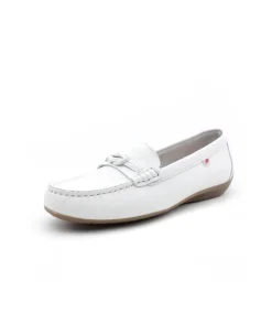 Fluchos F1429 Bruni