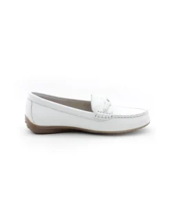 Fluchos F1429 Bruni