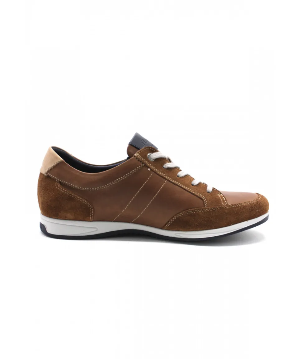 Fluchos F1282 Daniel