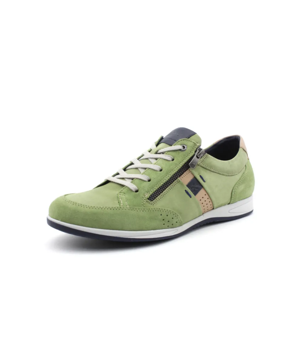 Fluchos F1282 Daniel