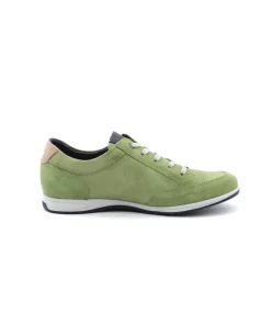 Fluchos F1282 Daniel