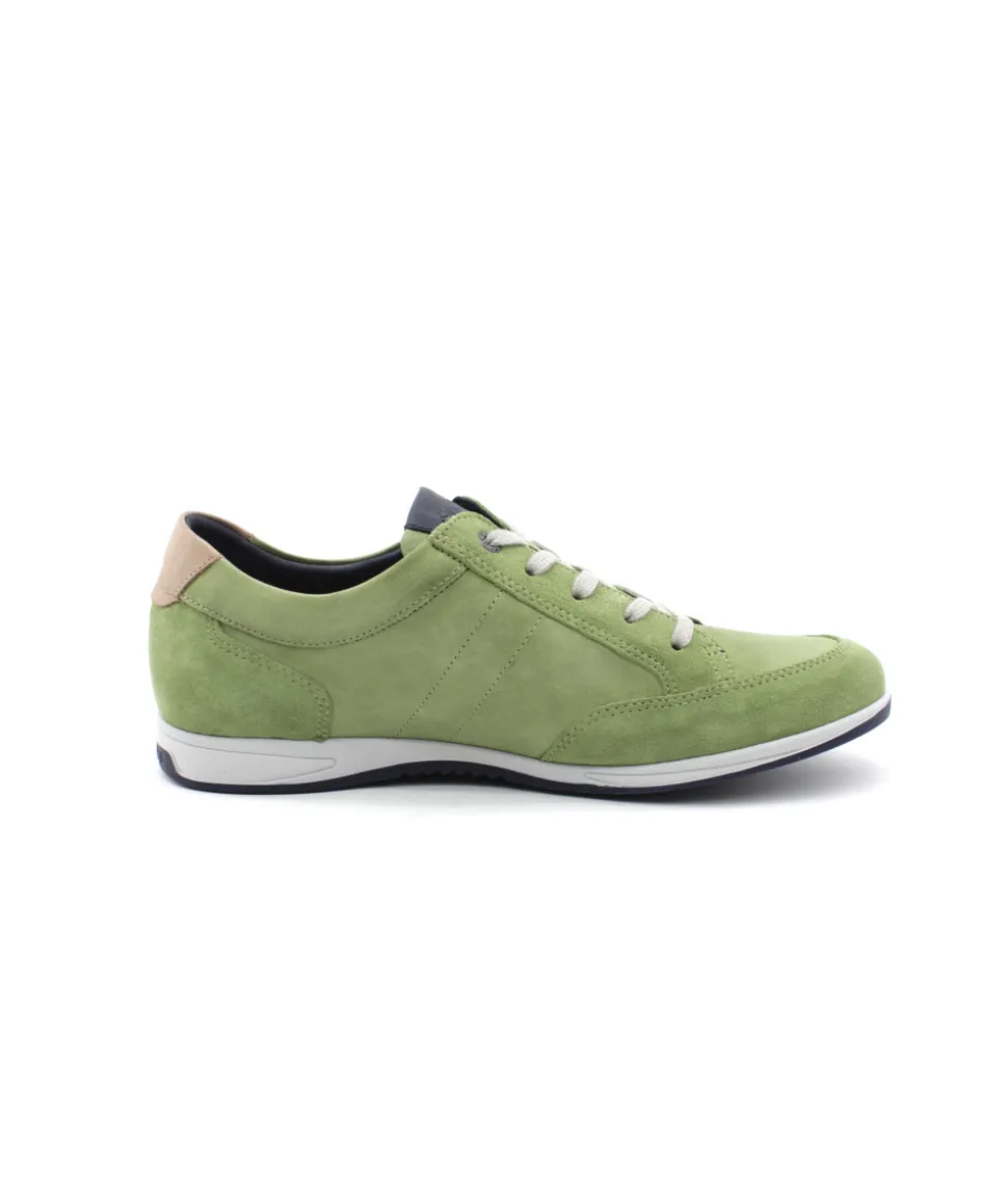 Fluchos F1282 Daniel