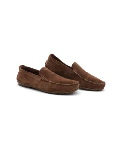 Fluchos F1091 Dorian