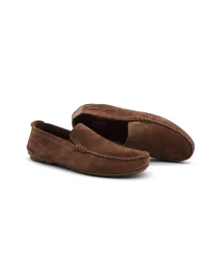 Fluchos F1091 Dorian