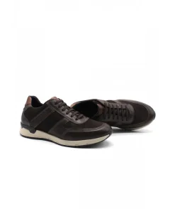 Fluchos F1293 Emory