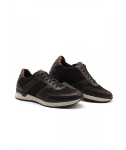 Fluchos F1293 Emory