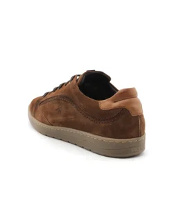 Fluchos F1721 Leo