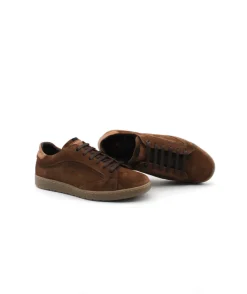 Fluchos F1721 Leo