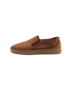 Fluchos F1946 Leo