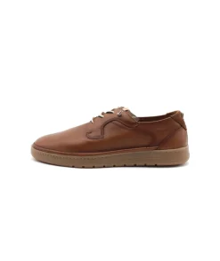 Fluchos F1945 Leo