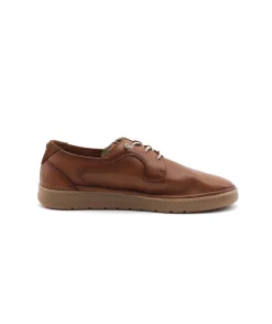 Fluchos F1945 Leo