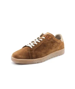Fluchos F1727 Leo