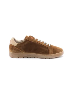 Fluchos F1727 Leo