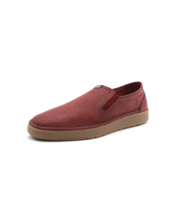 Fluchos F1946 Leo