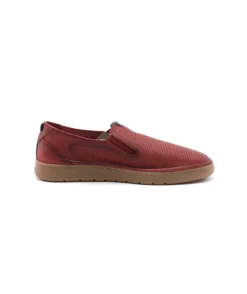 Fluchos F1946 Leo