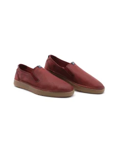 Fluchos F1946 Leo