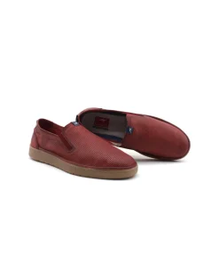 Fluchos F1946 Leo