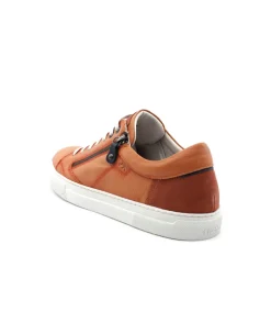 Fluchos F1410 Niko