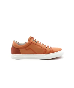 Fluchos F1410 Niko